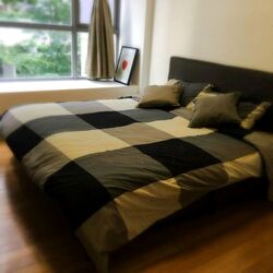 Angullia Park Residences @ Orchard (D10), Apartment #498097091
